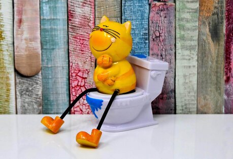 Was kann man tun wenn die Katze unsauber ist Wenn deine Katze die Toilette nicht mehr nutzt, dann hat das oft mehrere Gründe. Schimpfe nicht mit ihr, schreie nicht...Sie leidet womöglich und hat Schmerzen!