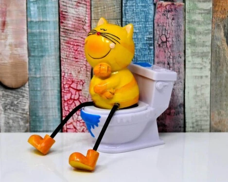 Unsaubere Katzen treten immer häufiger auf. Hintergrund kann eine Erkrankung sein oder die Haltung ist nicht optimal.