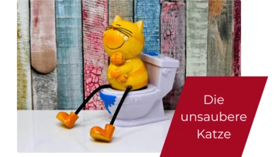 Unsauberkeit bei Katzen - Wie sie entsteht und was helfen kann Unsauberkeit bei Katzen hat immer einen Grund. Katzen sind reinliche, saubere Tiere und wenn sie das Katzenklo nicht mehr regelmäßig nutzen, dann steckt dahinter eine Ursache. Stress, eine Erkrankung oder ein nicht passendes Umfeld.