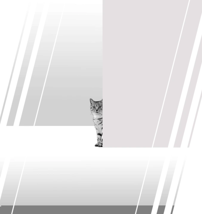 Wenn Katzen sich verstecken und zurückziehen Eine silber weiß getigerte Katze sitzt halb versteckt hinter einer Wand und schaut skeptisch. Wenn Katzen ängstliches Verhalten zeigen, dann bedeutet das Stress. Hier sollte man dem Tier unbedingt helfen und das Verhalten nicht einfach hinnehmen.