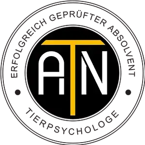 Ausbildung und Abschluss an der ATN