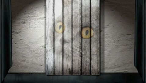 Die junge Katze war unterfordert, gelangweilt und depressiv. Die Halter suchten Hilfe und nach kurzer Zeit verbesserte sich die Situation